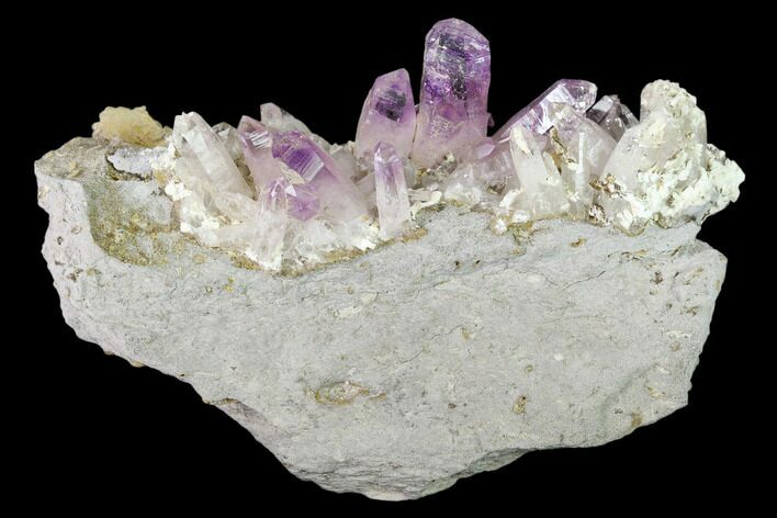 Amethyst Crystal Cluster - Las Vigas, Mexico #137007